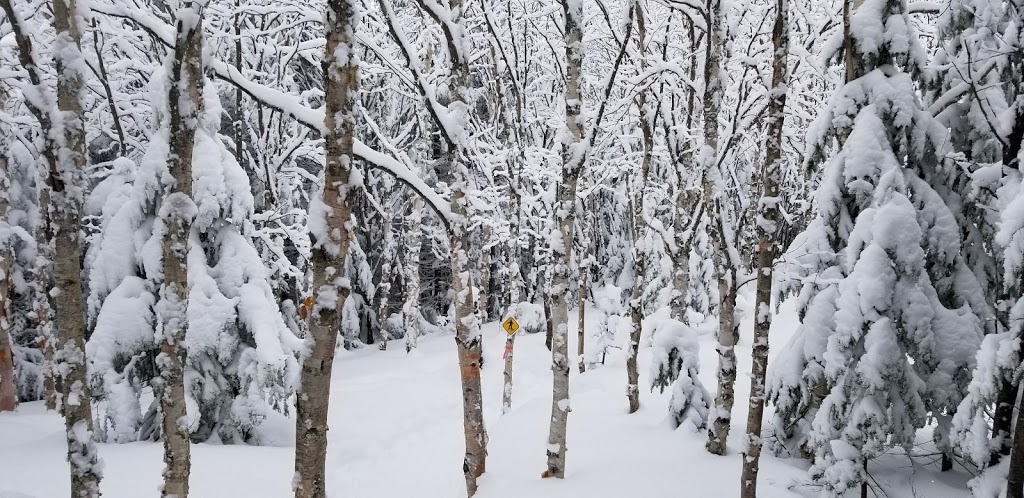 Sentier des Caps de Charlevoix - Acceuil Chalevoix | Chemin du Massif, Petite-Rivière-Saint-François, QC G0A 2L0, Canada | Phone: (418) 435-4163