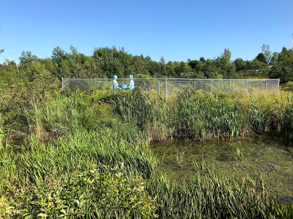 Burnsides Engineered Wetland Project | Akerley Blvd, Dartmouth, NS B3B 1R3, Canada