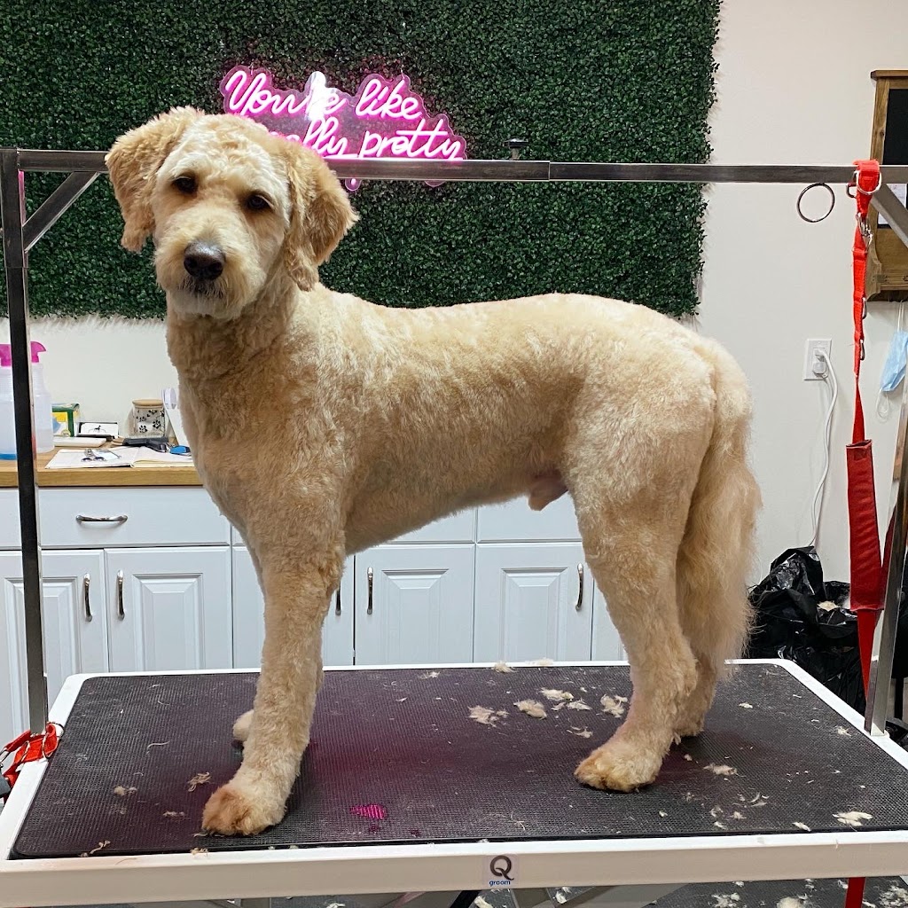 Pleasant Valley Groomers | 69 Terrace Dr, Hamilton, ON L9H 3X1, Canada | Phone: (905) 536-9889