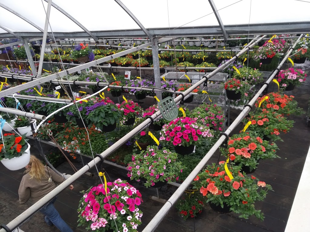 Azilda Greenhouses | 300 Carriere St, Azilda, ON P0M 1B0, Canada | Phone: (705) 983-5252
