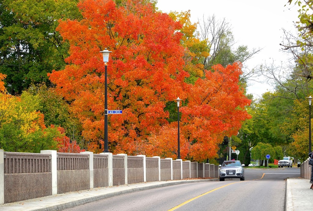 Beltline Trail | Beltline Trail, Toronto, ON M4T 2A4, Canada