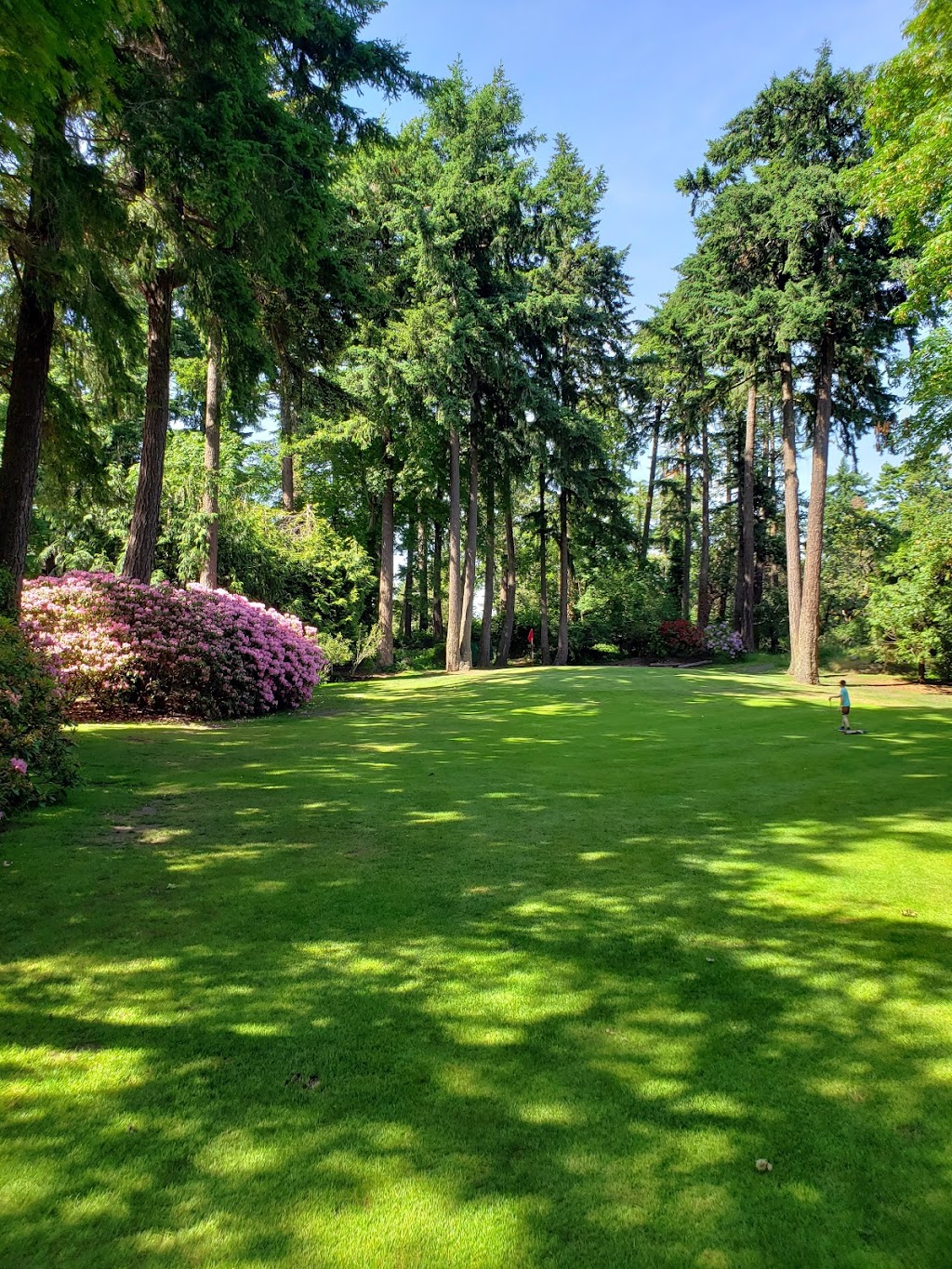 Henderson Par 3 | 2291 Cedar Hill Cross Rd, Victoria, BC V8P 5H9, Canada | Phone: (250) 370-7200