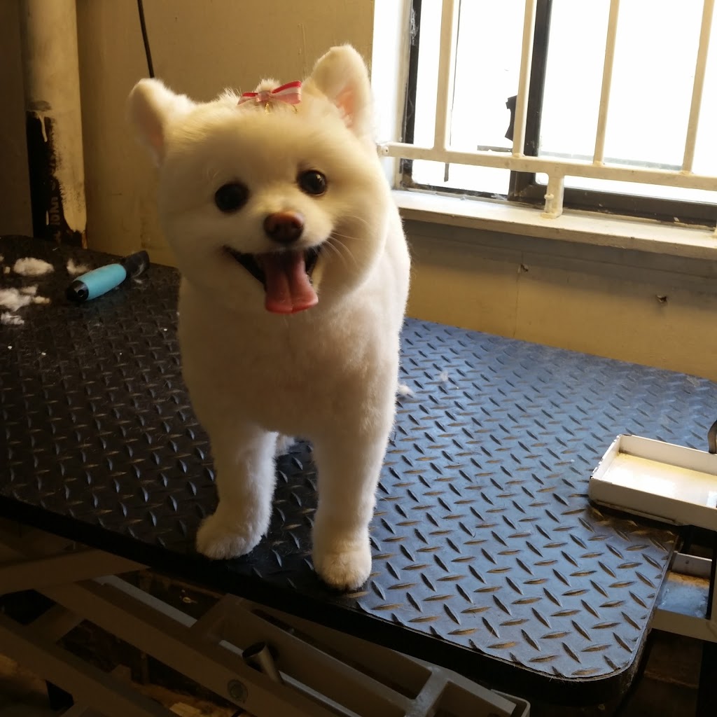 Ball and Biscuit Grooming | 1078 Kingsway, Vancouver, BC V5V 3C6, Canada | Phone: (604) 682-1899