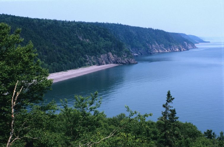 Fundy Trail Parkway Interpretive Center | 1100 Fundy Trail Pkwy, Salmon River, NB E5R 1W4, Canada | Phone: (866) 386-3987