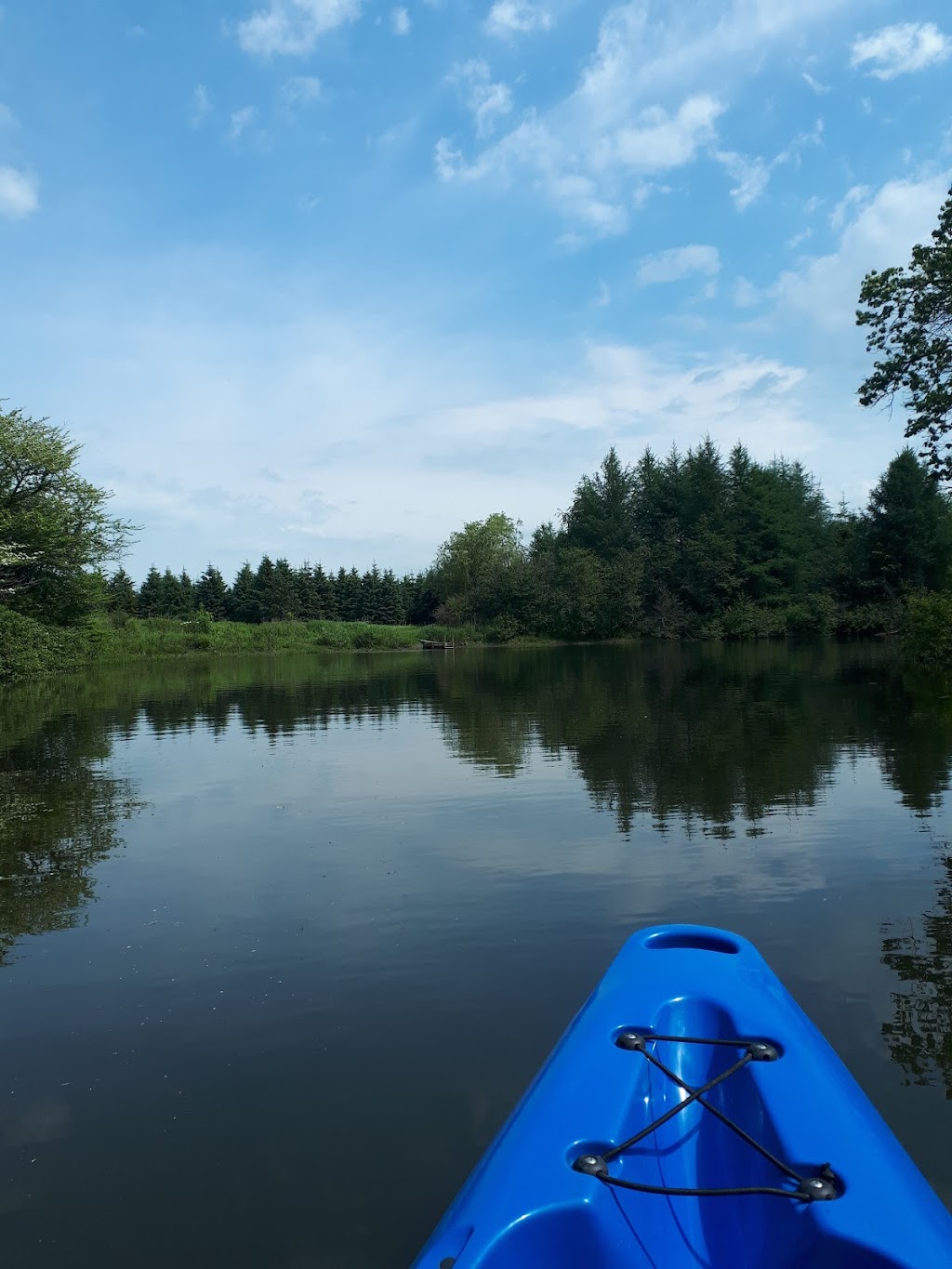 La Bouffée dAir - location vélo électrique et kayak | 362 Rte de Mansonville, Mansonville, QC J0E 1X0, Canada | Phone: (819) 919-3719