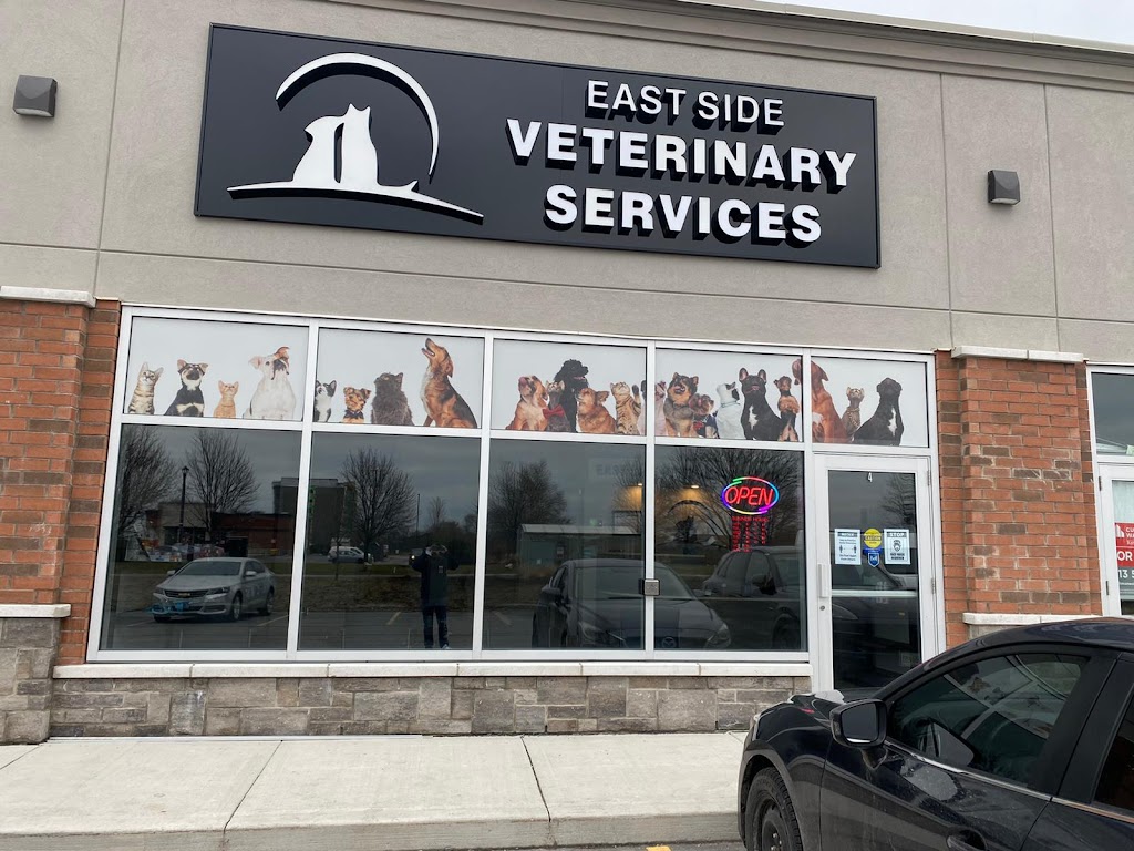 East Side Veterinary Services | 96 Innovation Dr unit 4, Kingston, ON K7K 7E6, Canada | Phone: (613) 531-5830