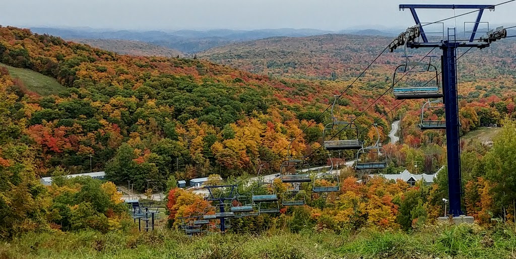 Camp Fortune Ski Aerial Park and Ziplines | 300 Chemin Dunlop, Parc de la Gatineau Park, Chelsea, QC J9B 2N3, Canada | Phone: (819) 827-1717