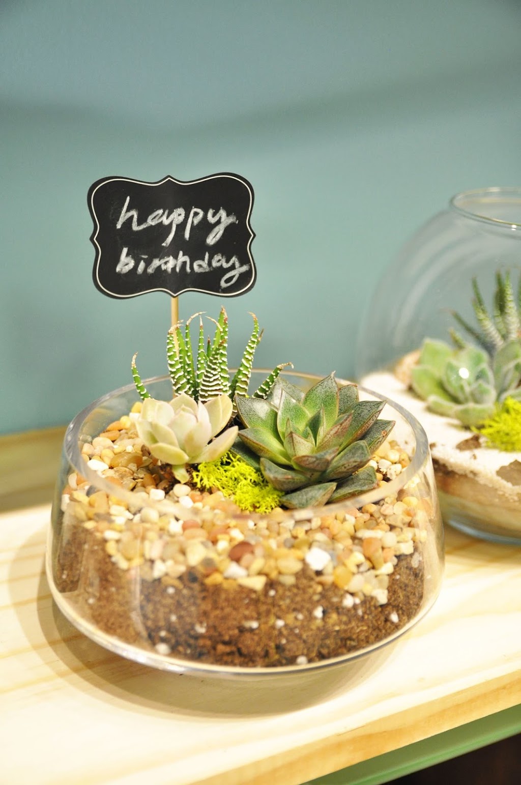 Plantit - Succulent, Air Plant, Cactus | 8339 Kennedy Road unit #2710 Langham Square 2nd floor escalator turn right 2nd store, Markham, ON L3R 1J5, Canada | Phone: (647) 262-7628