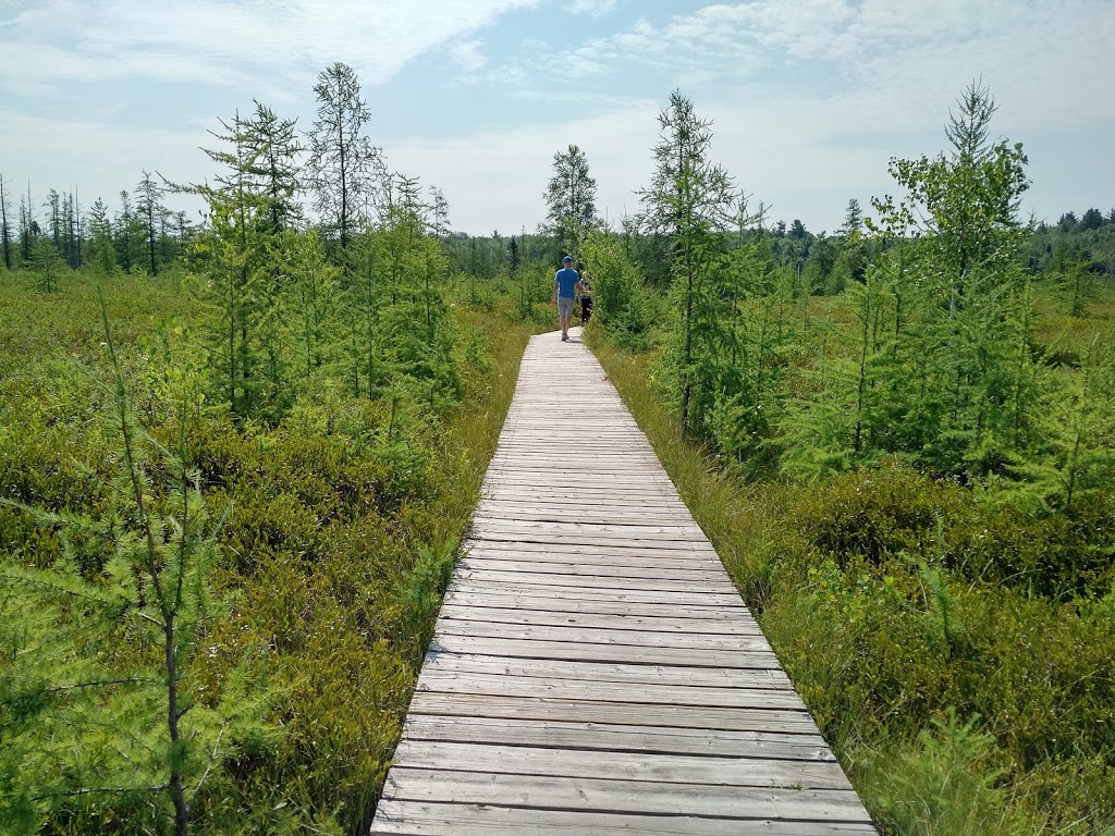 Mer Bleue Bog Trail | Ridge Rd, Ottawa, ON K0A 2Y0, Canada | Phone: (613) 239-5000