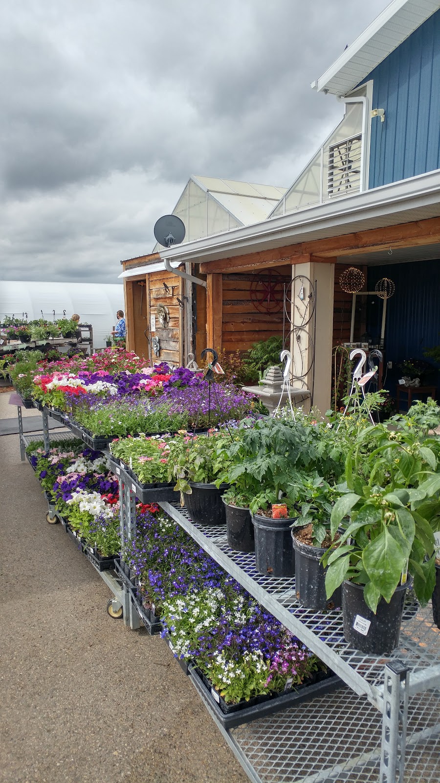 Country Furniture And Greenhouse. | Foothills County, Okotoks, AB T0L 0A0, Canada | Phone: (403) 938-4094