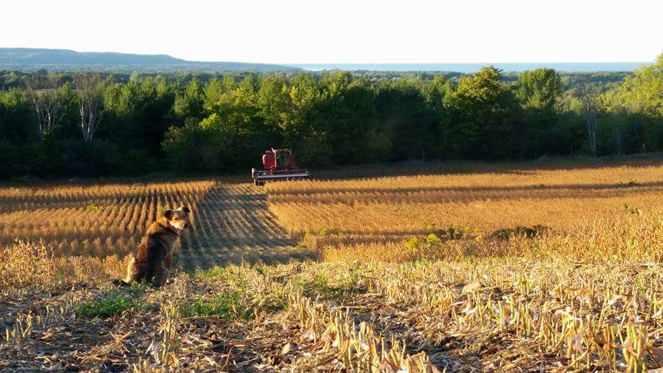 Good Family Farm Store | 157366 7th Line, Meaford, ON N4L 1W6, Canada | Phone: (519) 616-1090