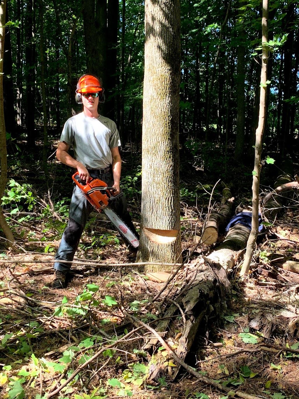 O.C Tree Care Inc. | Osgoode, Ottawa, ON K0A 2W0, Canada | Phone: (613) 327-3582