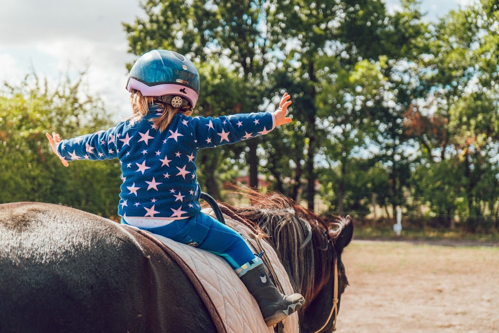 Pacific Equine Empowerment | 6003 104 St, Delta, BC V4K 3N3, Canada | Phone: (778) 686-0900