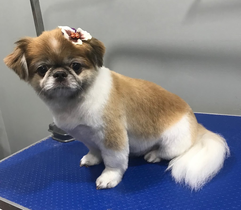 Charming Paws Grooming Studio | 3 Lynnwood Ave, Grimsby, ON L3M 2X5, Canada | Phone: (905) 570-4624