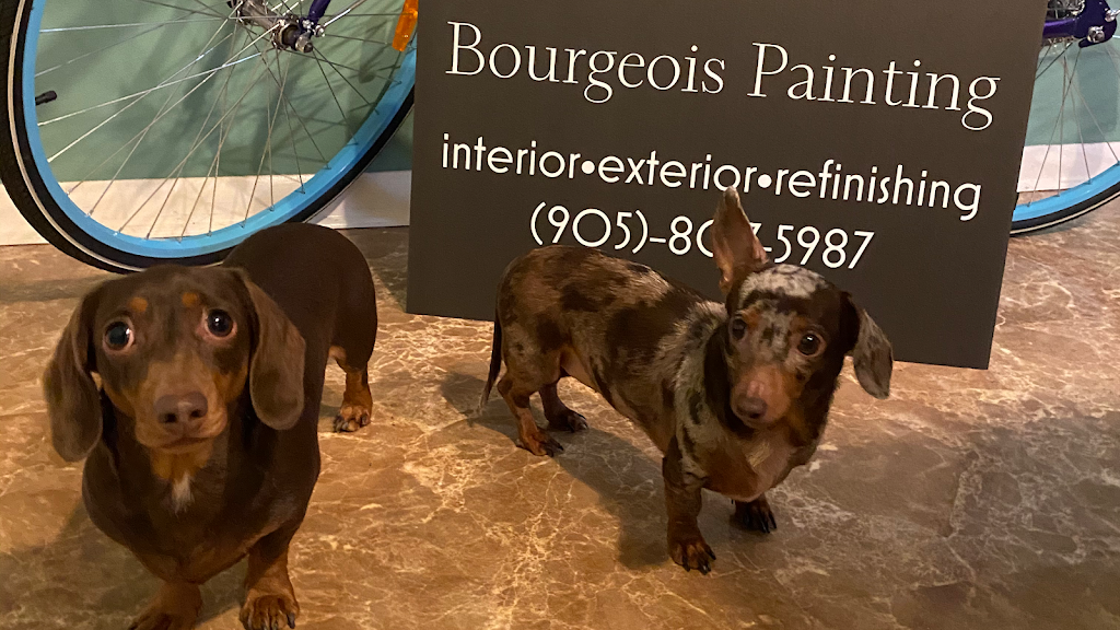 Bourgeois Painting | 136 Gainsborough Rd, Hamilton, ON L8E 1E1, Canada | Phone: (905) 807-5987