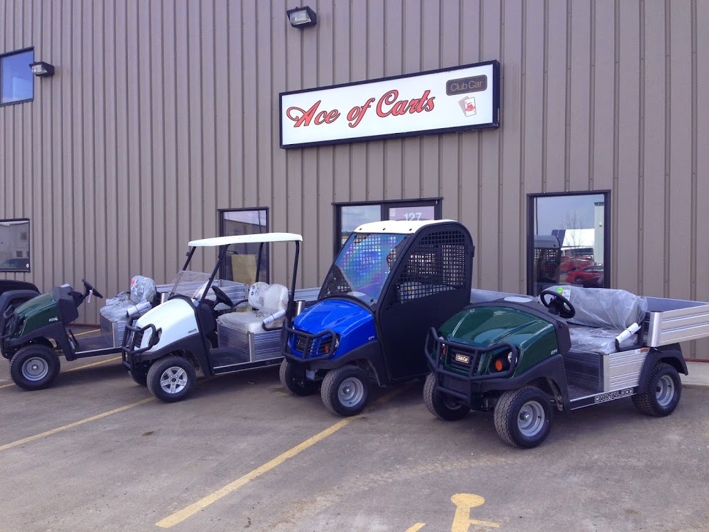 Ace of Carts | 127 Wheeler St, Saskatoon, SK S7P 0A4, Canada | Phone: (306) 664-2582