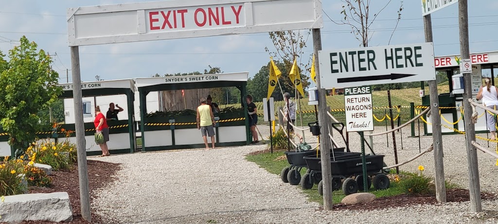 Snyders Sweet Corn | 1863 Haldimand Rd 9, Caledonia, ON N3W 2K1, Canada | Phone: (905) 765-0072