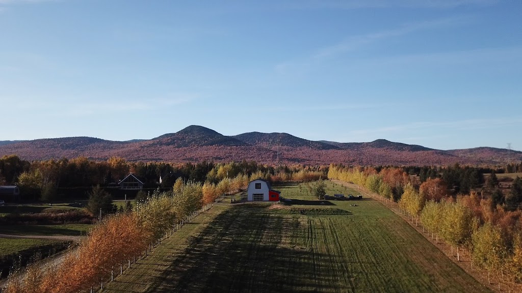 Kombucha du Mont-Ferréol | 140 Rue du Mont Ferréol, Saint-Ferréol-les-Neiges, QC G0A 3R0, Canada | Phone: (418) 476-0853