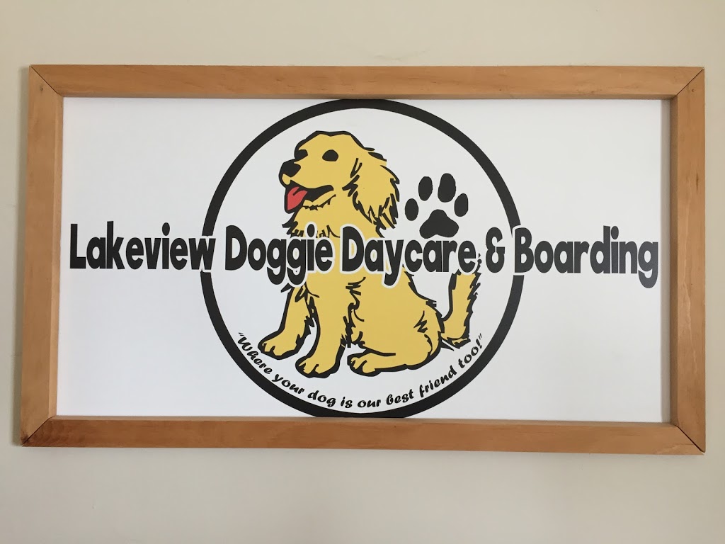 Lakeview Doggie Daycare | 1700 Baulch Rd, Port Hope, ON L1A 3V7, Canada | Phone: (905) 885-5445