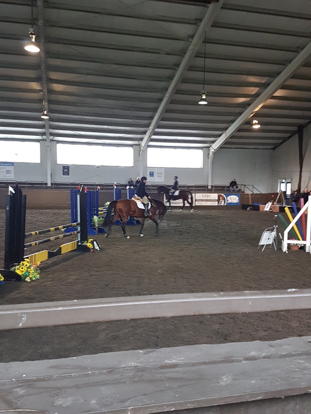 Royal Canadian Riding Academy | 4252 Davis Dr, Cedar Valley, ON L0G 1E0, Canada | Phone: (905) 898-7743