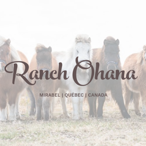 Ranch Ohana | 3680 Chemin Charles-Léonard, Mirabel, QC J7N 2Y7, Canada | Phone: (450) 927-2624