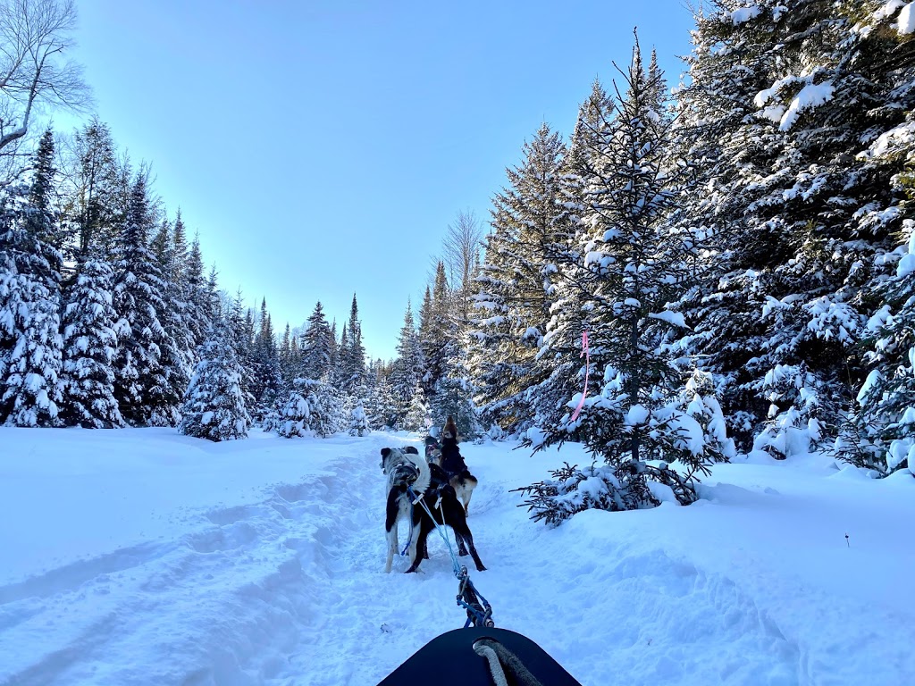 Mont-Tremblant Dogsledding | 121 Chemin de lAlbatros, Mont-Tremblant, QC J8E 1S1, Canada | Phone: (819) 681-5519