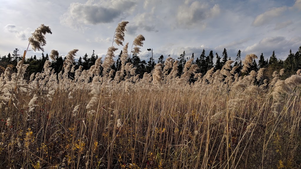 Kouchibouguac National Park | National 186, NB-117, Kouchibouguac, NB E4X 1V2, Canada | Phone: (506) 876-2443