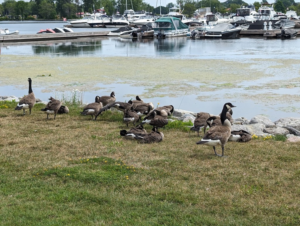 Quinte West City Hall | 7 Creswell Dr, Trenton, ON K8V 5R6, Canada | Phone: (613) 392-2841