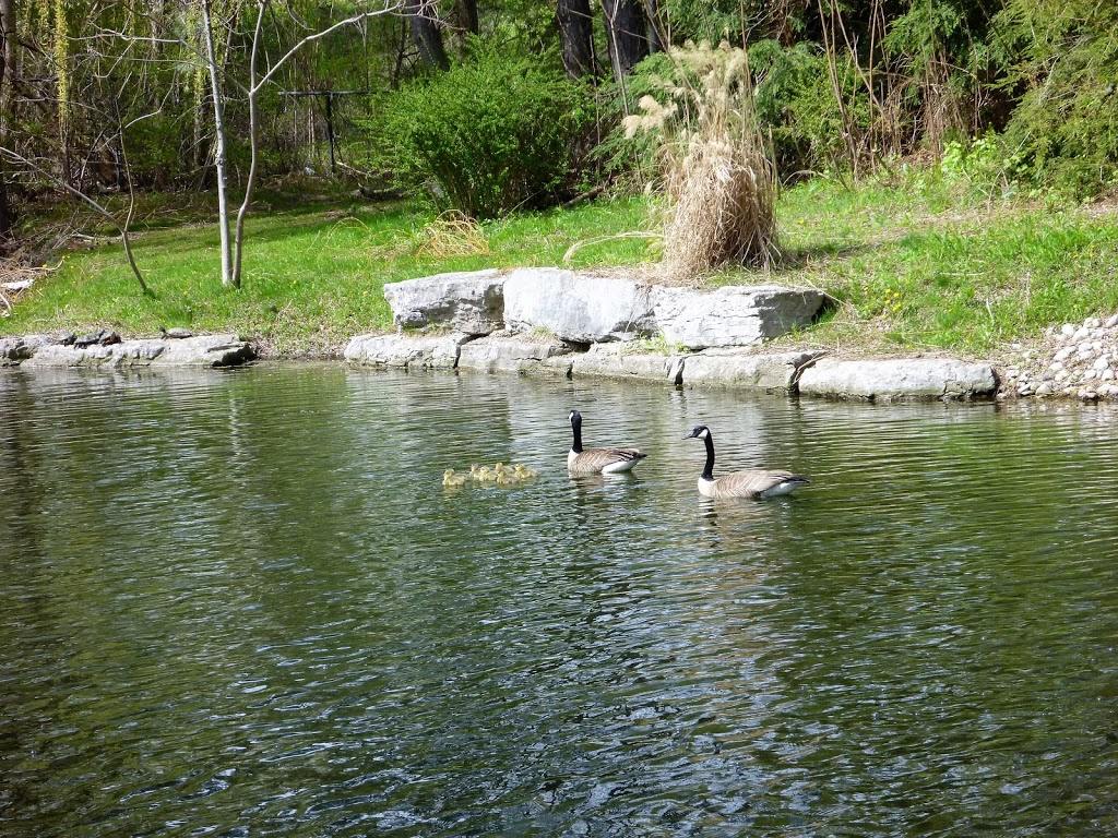 Happy Rolphs Animal Farm | 650 Read Rd, St. Catharines, ON L2R 7K6, Canada | Phone: (905) 688-5600