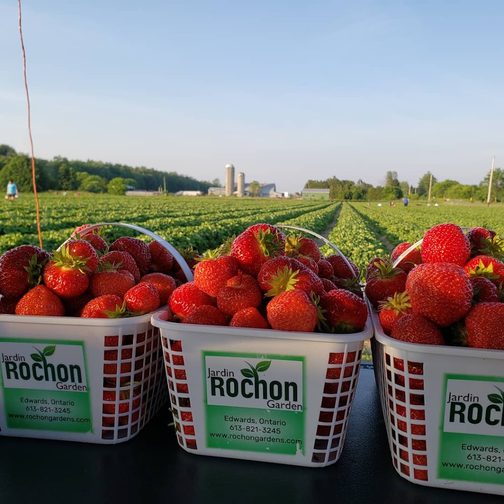 Rochon Garden | 1101York, s Corners Road, Edwards, ON K0A 1V0, Canada | Phone: (613) 821-3245