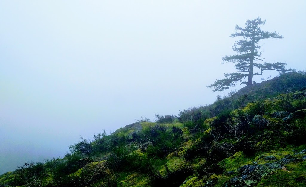 Mount Finlayson Trailhead | Unnamed Road, Victoria, BC V9B 6V3, Canada