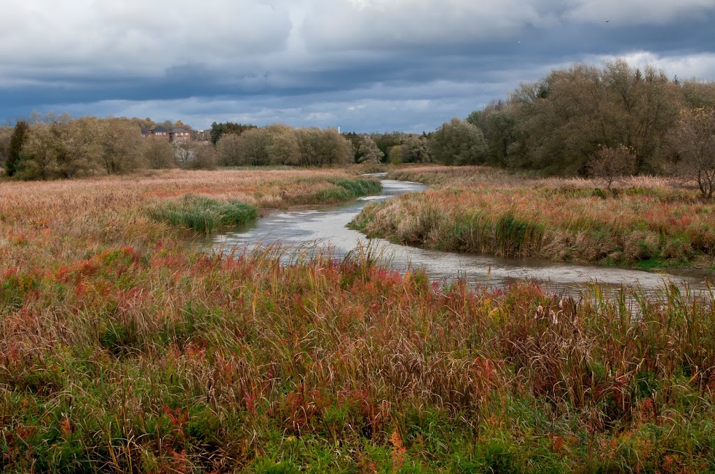 Rogers Reservoir Conservation Area | 2nd Concession Rd, East Gwillimbury, ON L3Y, Canada | Phone: (905) 895-1281