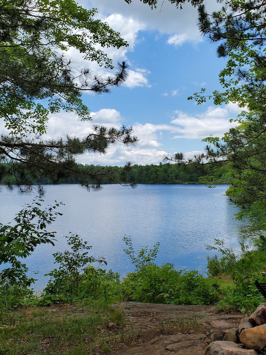 Little Turtle Lake | Coon Lake Rd, Harcourt, ON K0L 3E0, Canada | Phone: (613) 332-3940