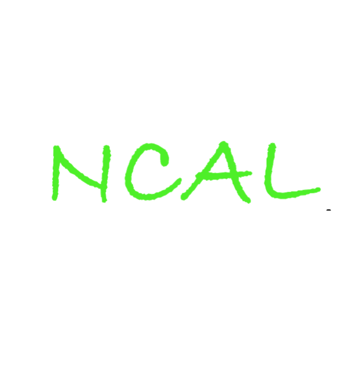 NCAL Home Inspection | 75100, Calgary, AB T3H 3M1, Canada | Phone: (587) 574-6225