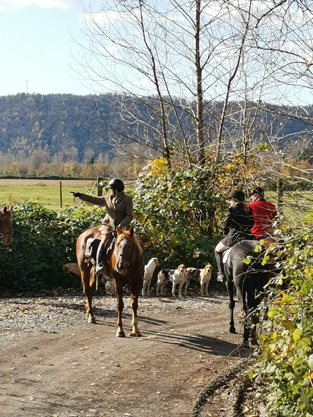 Fraser Valley Hunt | Metro Vancouver Regional District, 1388 272 St, Aldergrove, BC V4W 2P9, Canada | Phone: (604) 835-0845