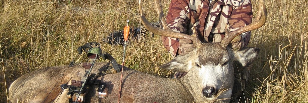 Whitetail Trophy Hunts | RR1, Bluffton, AB T0C 0M0, Canada | Phone: (315) 636-5277