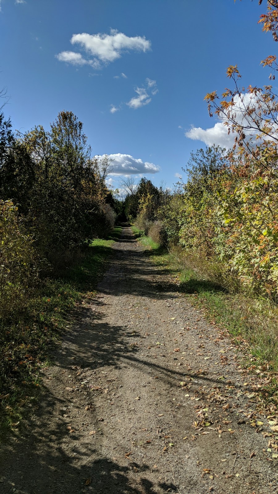 Dunsford Nature Trail | Kawartha Lakes, ON K0M 1L0, Canada