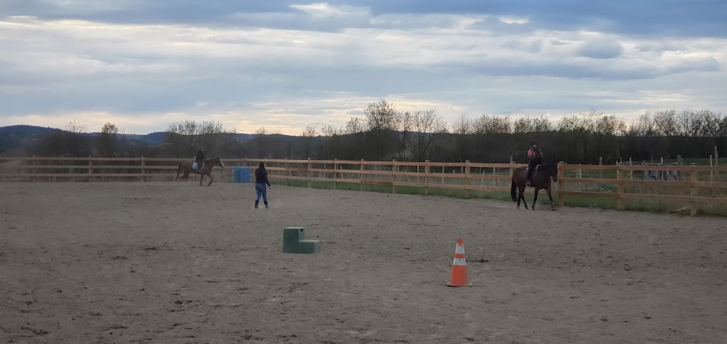 Centre Equestre BQH | 2385 Rang St Joseph, Chicoutimi, QC G7H 5A7, Canada | Phone: (418) 820-5941