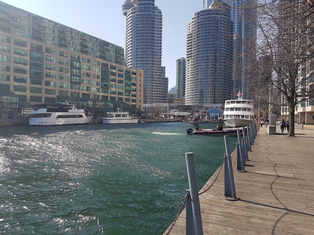 Harbour Square Park West | Central Waterfront, Toronto, ON M5J 2T5, Canada | Phone: (416) 338-4386