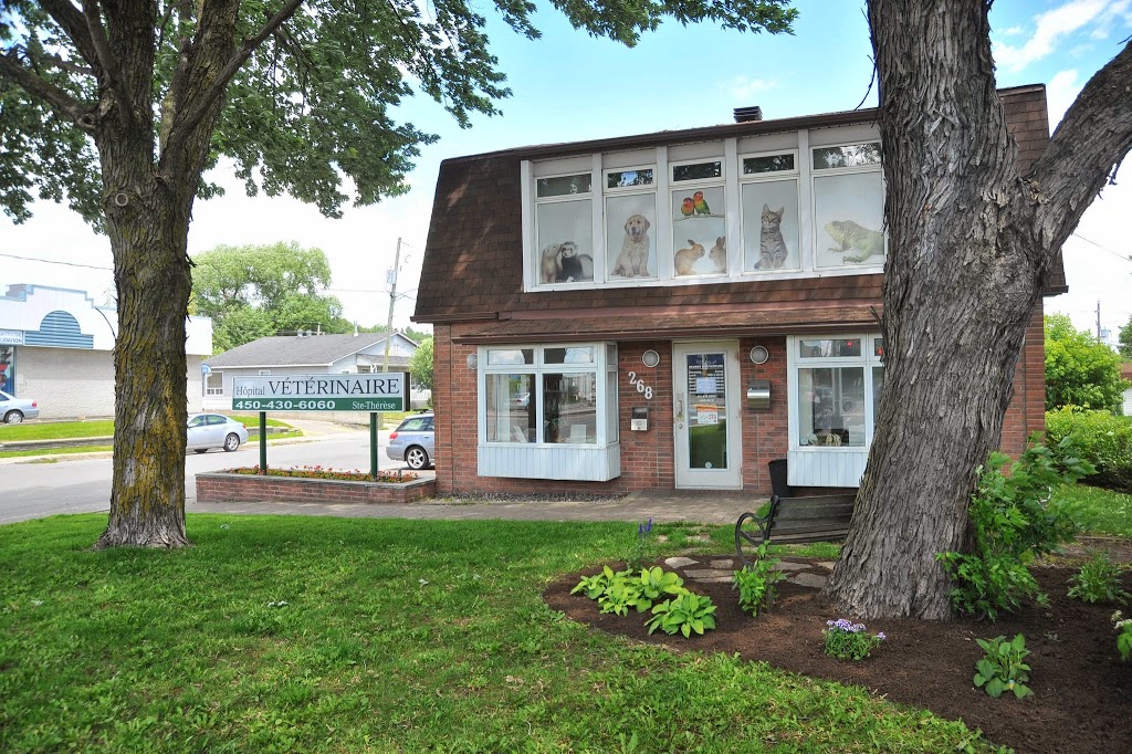 Hôpital Vétérinaire Ste-Thérèse membre du groupe Vétéri-Médic in | 268 Boulevard Curé-Labelle, Sainte-Thérèse, QC J7E 2X7, Canada | Phone: (450) 430-6060