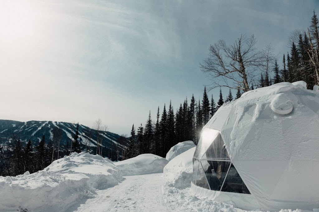 Les diamants de lÉternel | 451 Rue du Massif, Saint-david de falardeau, QC G0V 1C0, Canada | Phone: (418) 673-3330