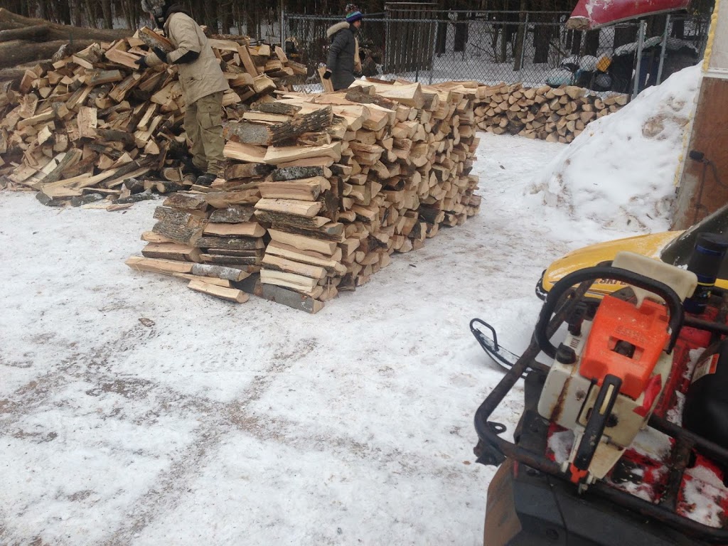 York Region Firewood | 15443 Ninth Line, Whitchurch-Stouffville, ON L4A 7X4, Canada | Phone: (647) 201-6955