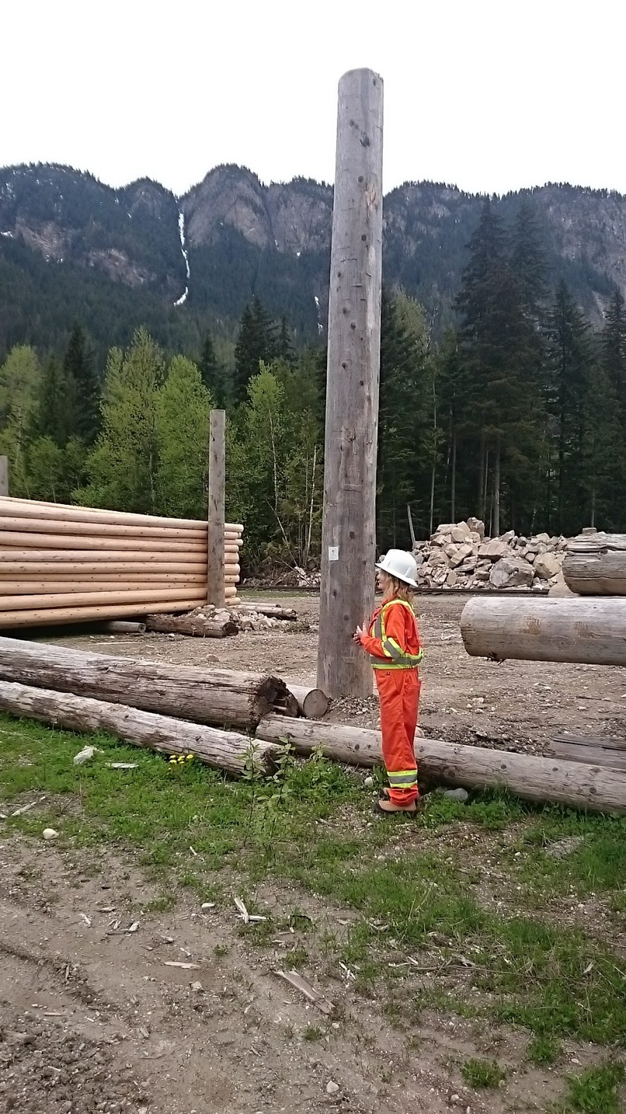 Stella-Jones Canada Inc | Pole Yard Rd, Revelstoke, BC V0E 2S0, Canada | Phone: (250) 837-5061