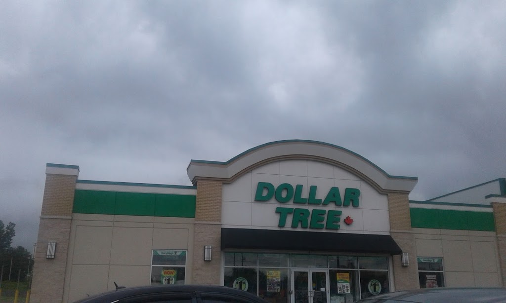 Dollar Tree | 154 Queensway East, Simcoe, ON N3Y 0A8, Canada | Phone: (519) 428-2859