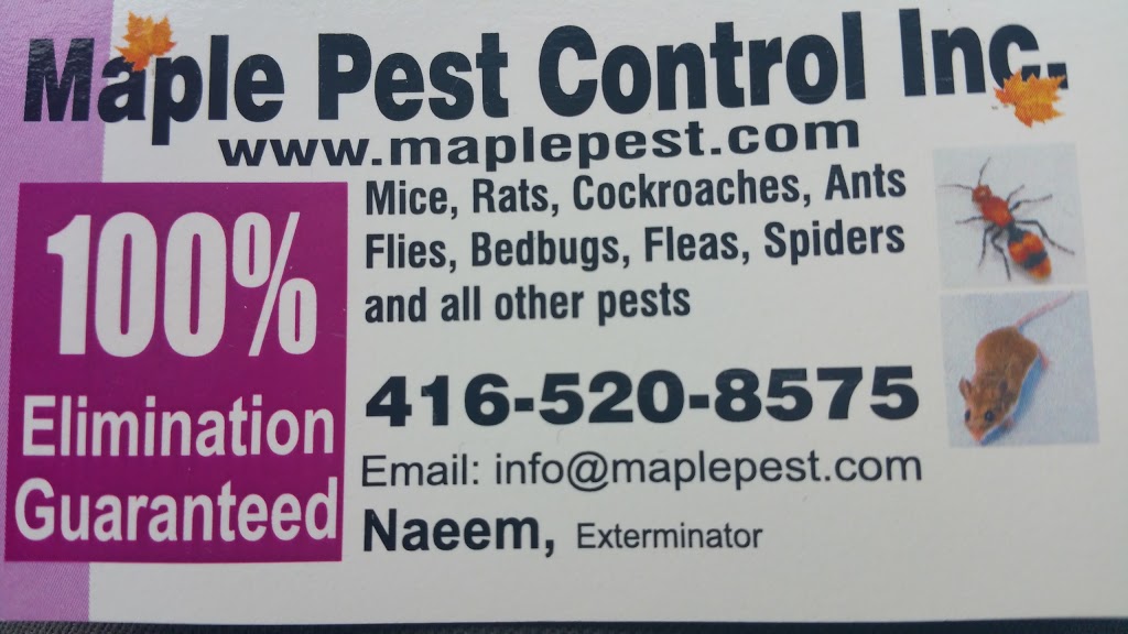 Maple Pest Control | 46 Convoy Crescent, Maple, ON L6A 3H3, Canada | Phone: (416) 657-2233