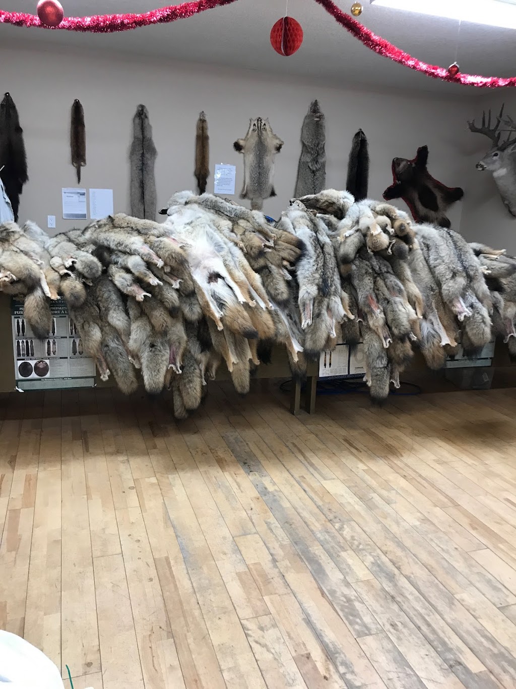 Alberta Trappers Association | Hwy 44 South, Industrial Park Lot, 14, Westlock, AB T7P 2P7, Canada | Phone: (780) 349-6626