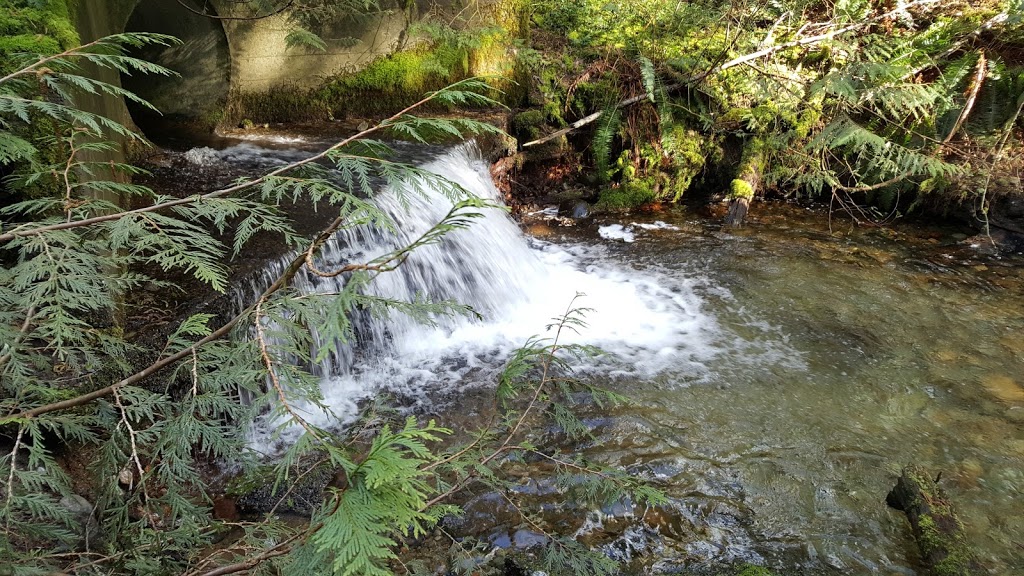 Hyannis Trail | Hyannis Dr, North Vancouver, BC V7H 2E8, Canada