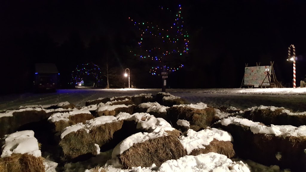 Ians Christmas Adventure Park | 804 Richmond Rd, Beckwith, ON K0A 1B0, Canada | Phone: (613) 253-0086