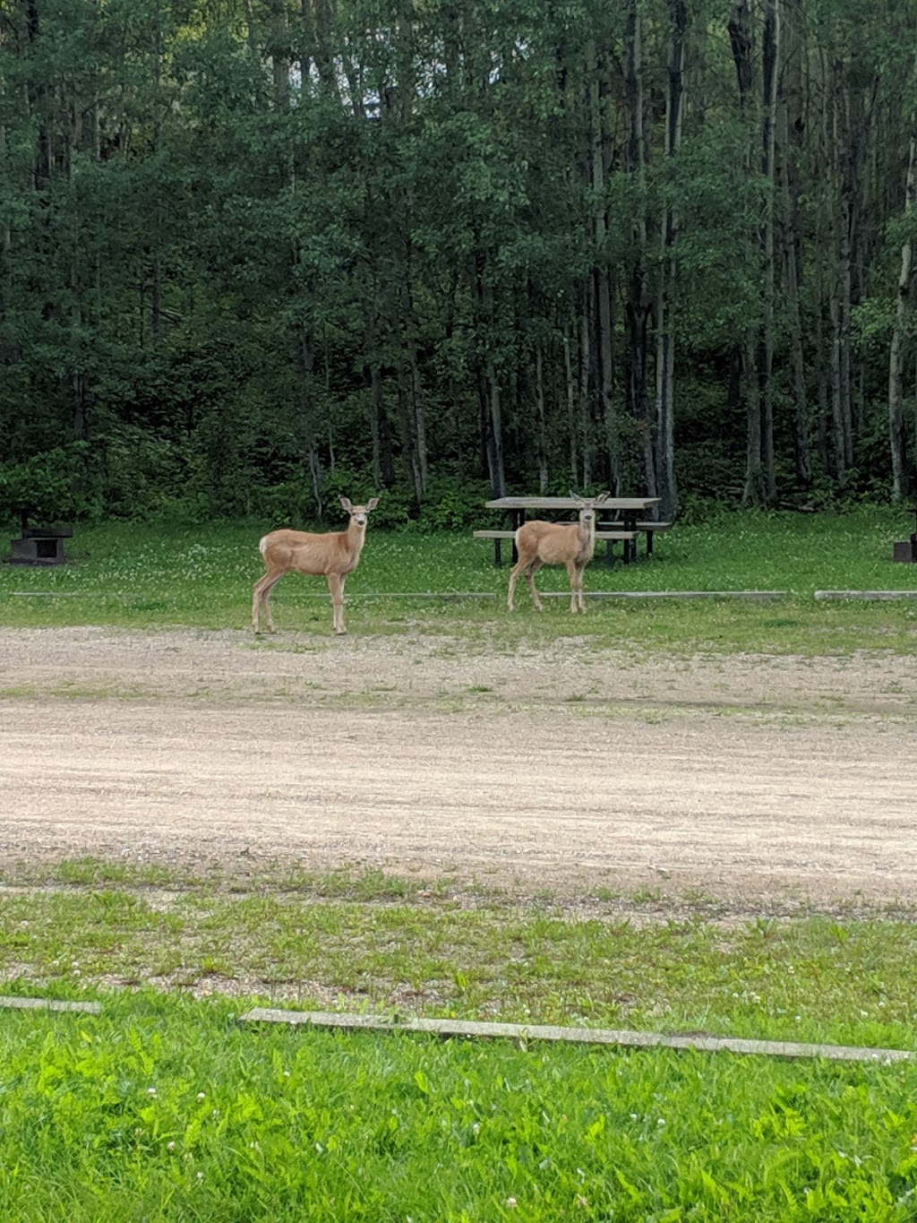 Long Lake Provincial Park | Range Rd 191A, Ellscott, AB T0A 1B0, Canada | Phone: (780) 576-3959