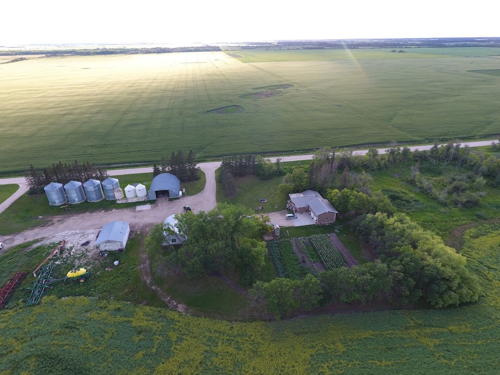 L Plett Farms inc | Rd 2 E Morweena, Arborg, MB R0C 0A0, Canada | Phone: (204) 442-0610